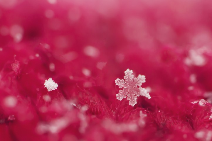 shutterstock_362792108