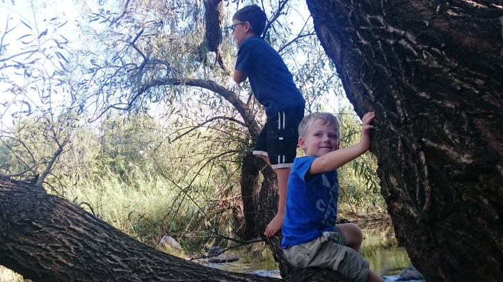 2016-04-29 15.02.33.jpg