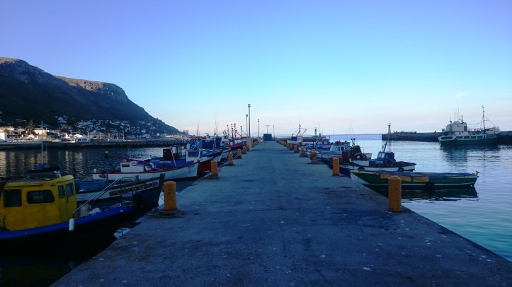 2017-02-23 18.25.35.jpg