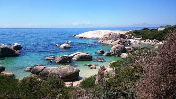 2017-02-24 12.53.11.jpg