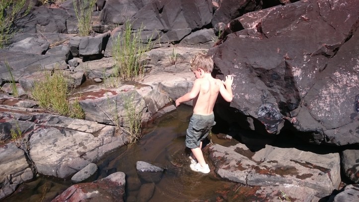 2017-03-21 10.34.18.jpg